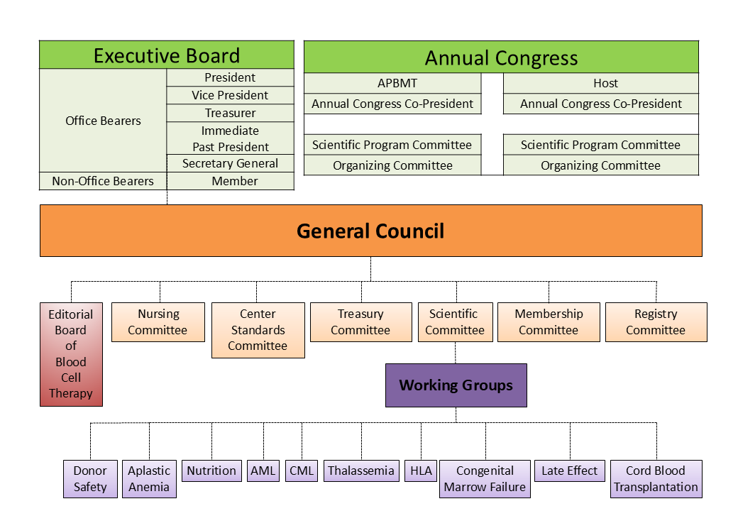 Organization Tree_2025.png